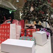 PXL_20221222_033329237