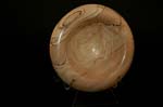 Baum_4-16-05_11