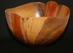 Tang_Norfolk Pine_4-16-05_41