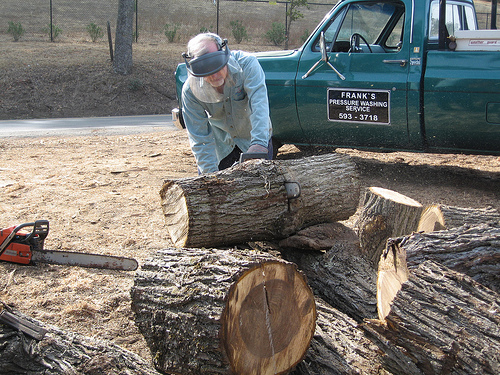 Terry at work