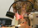 IMG%207689.jpg